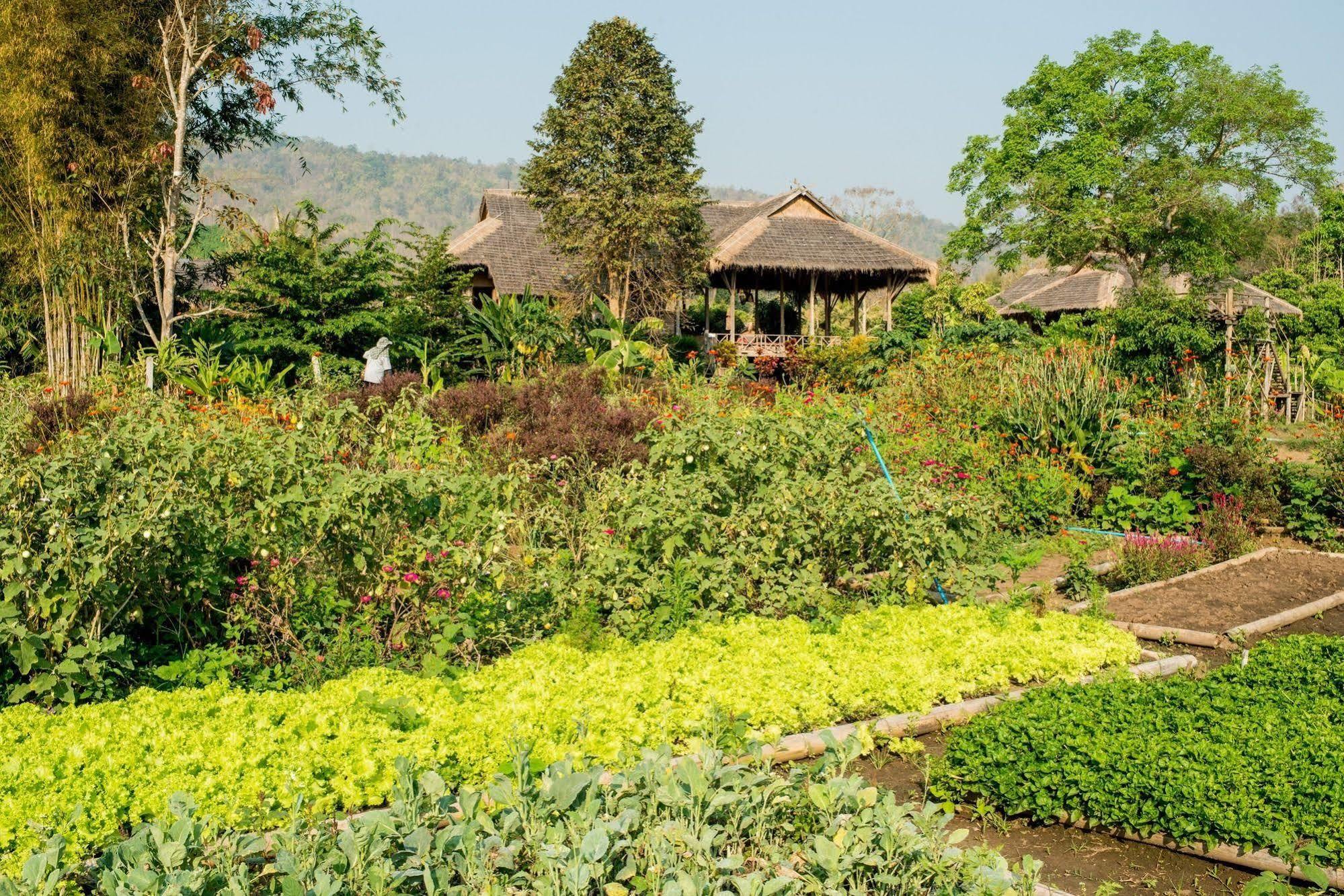 利素小屋 清邁 外观 照片